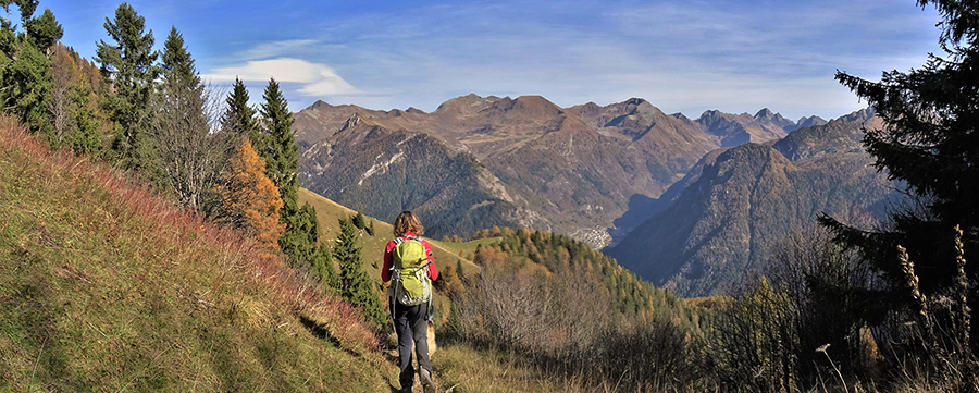 Dal Forcolino di Torcola sul sent. 117 inizia lo spettacolo delle cime orobiche e dei larici colorati d'autunno